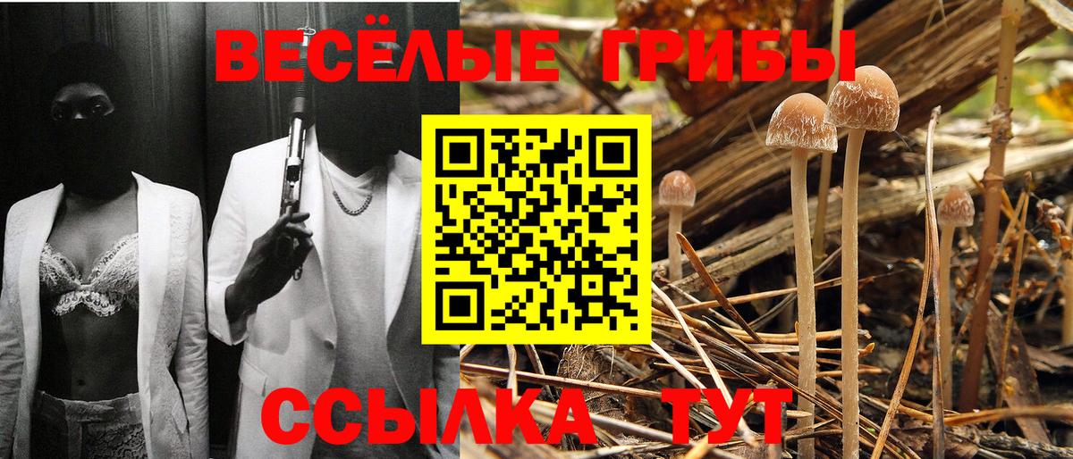 Галлюциногенные грибы GOLDEN TEACHER  Галлюциногенные грибы Magic Shrooms  Лесосибирск  Вход с VPN 